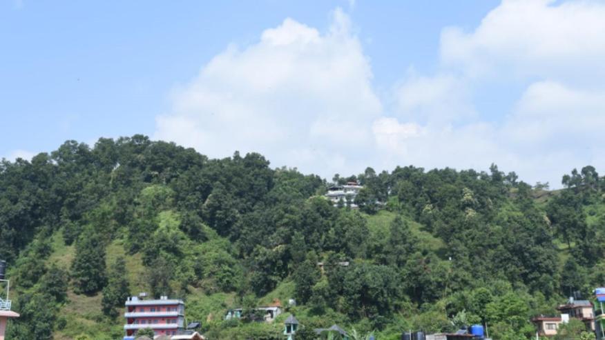 Hotel Green Hill View Pokhara Exterior foto